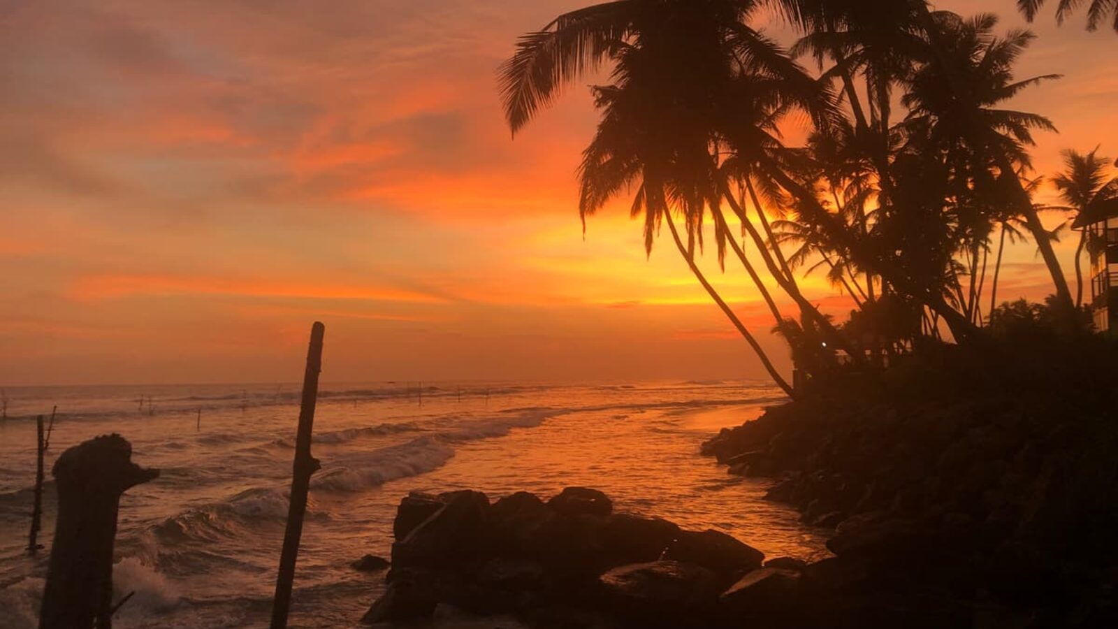 Sunset behind palms and stilt-fishing poles on the Sri Lankan south coast